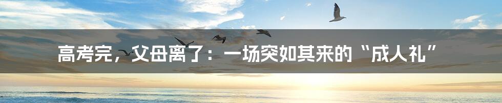 高考完,父母离了:一场突如其来的“成人礼”