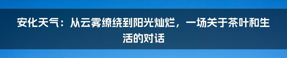安化天气：从云雾缭绕到阳光灿烂，一场关于茶叶和生活的对话