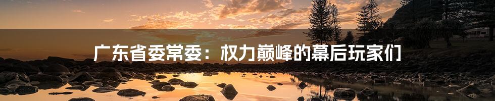 广东省委常委:权力巅峰的幕后玩家们