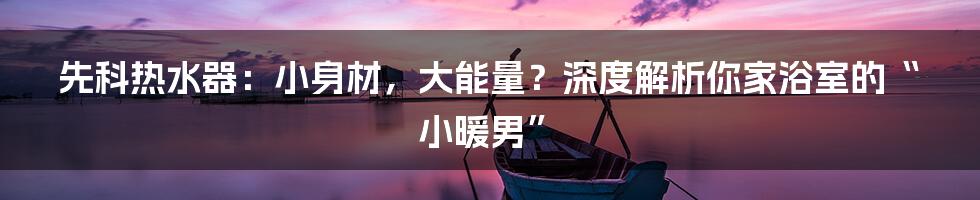 先科热水器:小身材,大能量?深度解析你家浴室的“小暖男”
