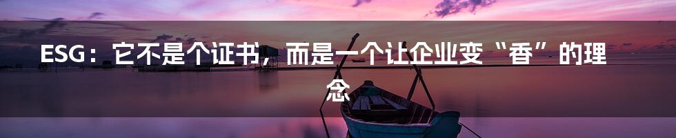 ESG:它不是个证书,而是一个让企业变“香”的理念