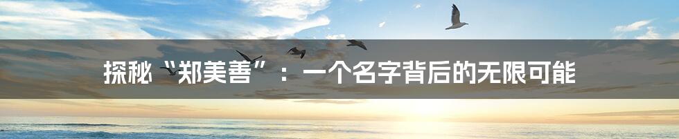探秘“郑美善”:一个名字背后的无限可能