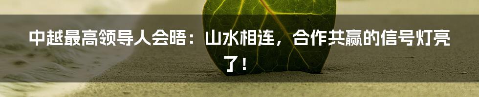 中越最高领导人会晤:山水相连,合作共赢的信号灯亮了!
