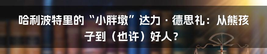 哈利波特里的“小胖墩”达力·德思礼:从熊孩子到(也许)好人?