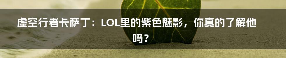 虚空行者卡萨丁:LOL里的紫色魅影,你真的了解他吗?