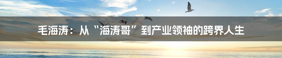 毛海涛:从“海涛哥”到产业领袖的跨界人生