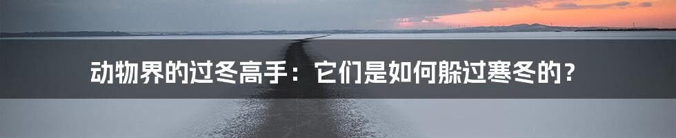 动物界的过冬高手:它们是如何躲过寒冬的?
