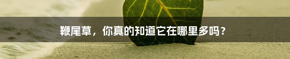 鞭尾草,你真的知道它在哪里多吗?
