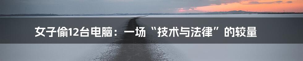 女子偷12台电脑:一场“技术与法律”的较量