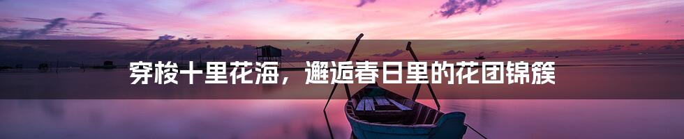 穿梭十里花海,邂逅春日里的花团锦簇