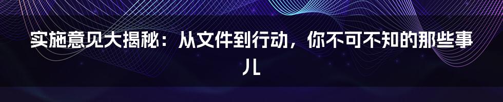 实施意见大揭秘:从文件到行动,你不可不知的那些事儿