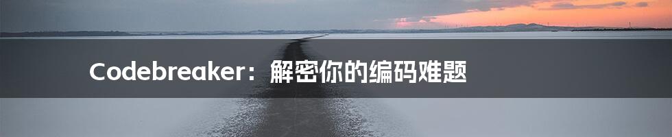 Codebreaker:解密你的编码难题