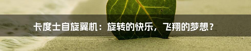 卡度士自旋翼机:旋转的快乐,飞翔的梦想?