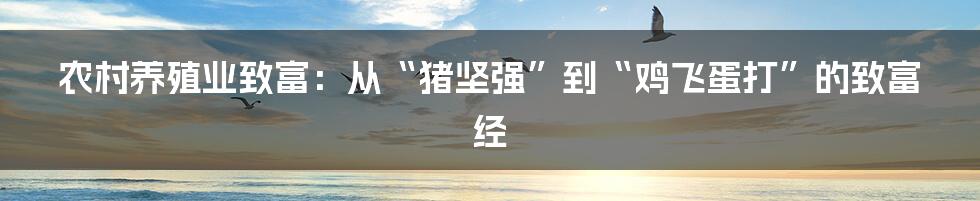 农村养殖业致富：从“猪坚强”到“鸡飞蛋打”的致富经