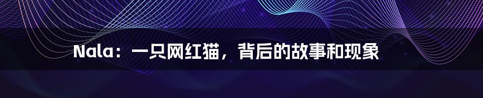 Nala:一只网红猫,背后的故事和现象