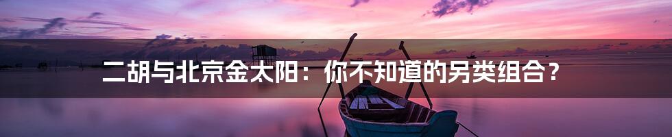 二胡与北京金太阳:你不知道的另类组合?