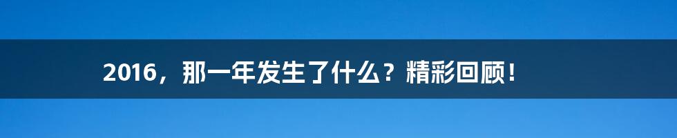 2016,那一年发生了什么?精彩回顾!