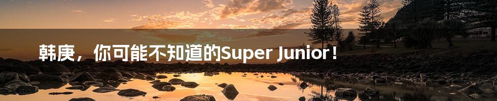 韩庚,你可能不知道的Super Junior!
