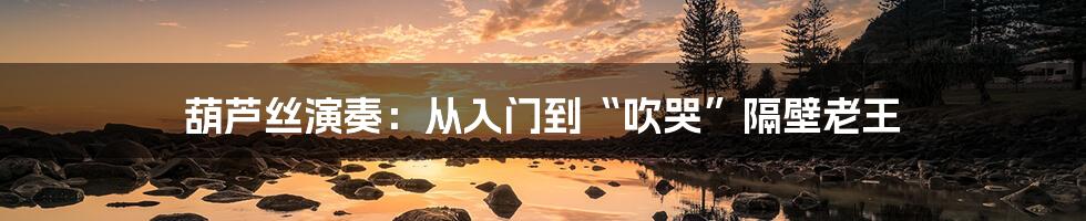 葫芦丝演奏:从入门到“吹哭”隔壁老王