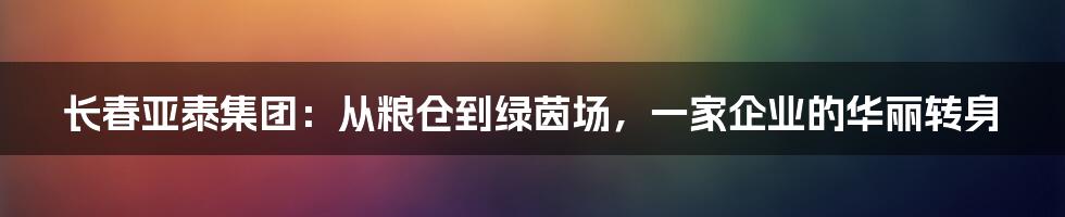 长春亚泰集团:从粮仓到绿茵场,一家企业的华丽转身