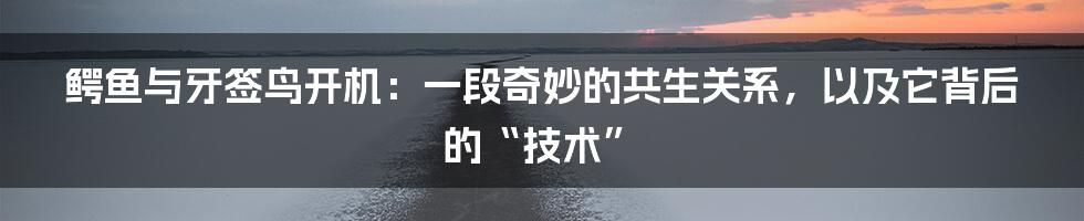 鳄鱼与牙签鸟开机:一段奇妙的共生关系,以及它背后的“技术”