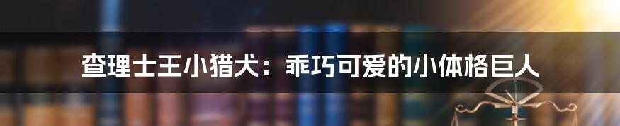 查理士王小猎犬：乖巧可爱的小体格巨人