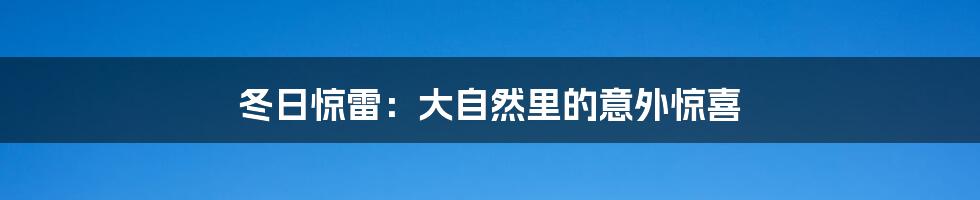冬日惊雷:大自然里的意外惊喜