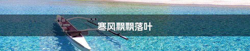 寒风飘飘落叶