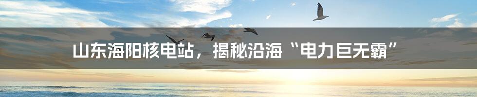 山东海阳核电站，揭秘沿海“电力巨无霸”