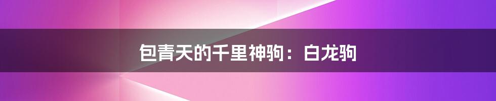 包青天的千里神驹:白龙驹
