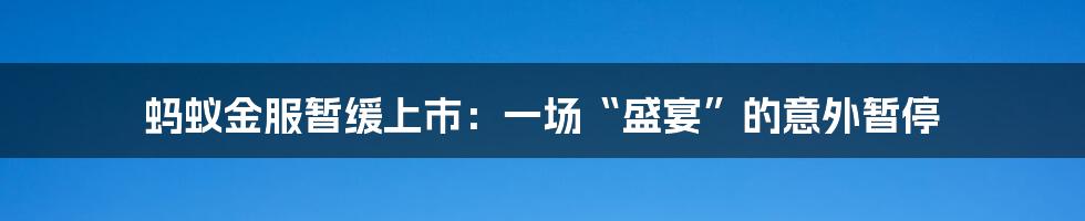 蚂蚁金服暂缓上市:一场“盛宴”的意外暂停