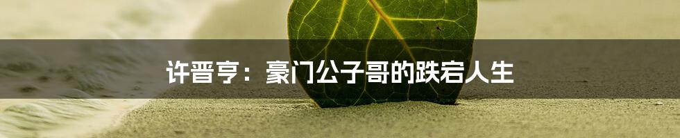 许晋亨:豪门公子哥的跌宕人生