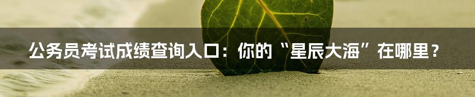 公务员考试成绩查询入口:你的“星辰大海”在哪里?