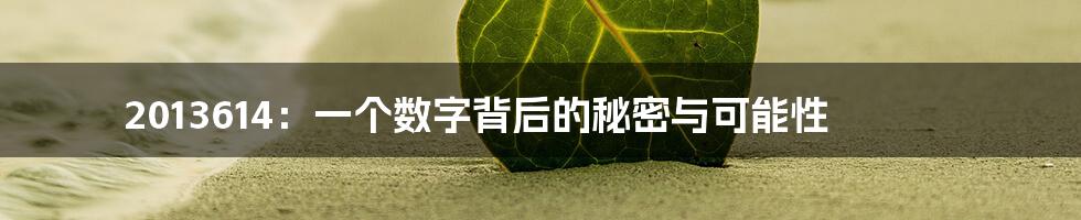 2013614:一个数字背后的秘密与可能性