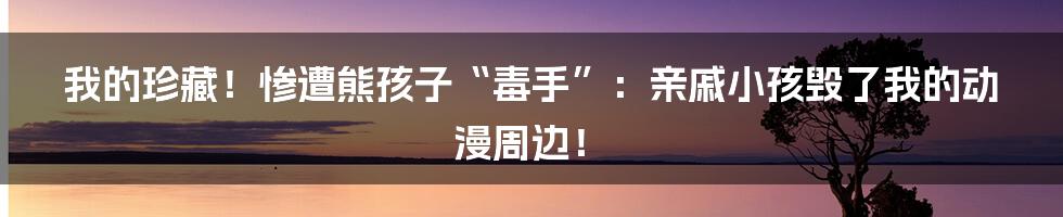 我的珍藏!惨遭熊孩子“毒手”:亲戚小孩毁了我的动漫周边!