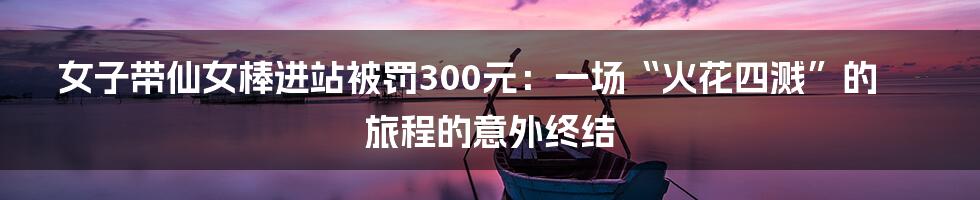 女子带仙女棒进站被罚300元:一场“火花四溅”的旅程的意外终结