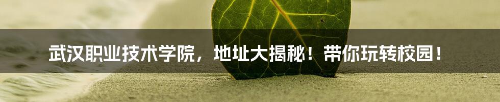 武汉职业技术学院,地址大揭秘!带你玩转校园!