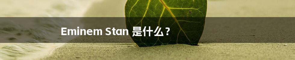 Eminem Stan 是什么?