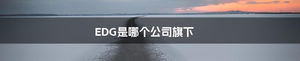EDG是哪个公司旗下