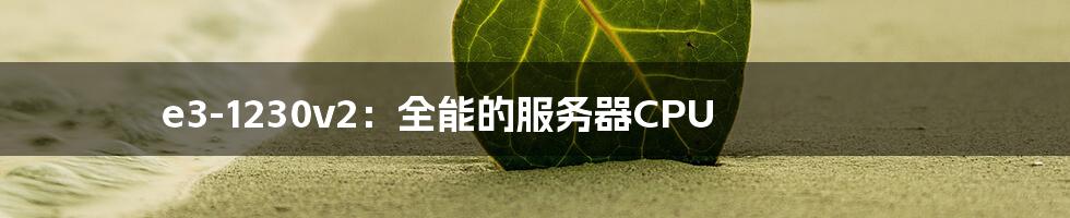 e3-1230v2:全能的服务器CPU