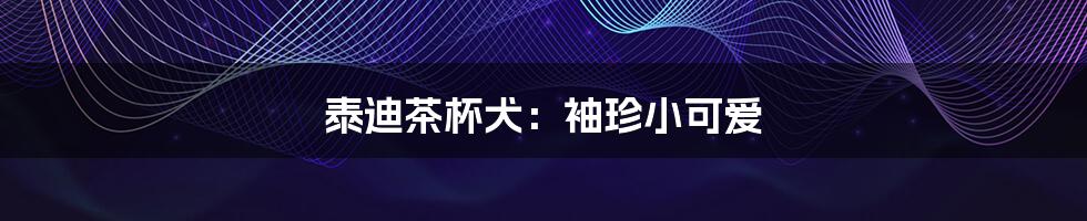 泰迪茶杯犬:袖珍小可爱