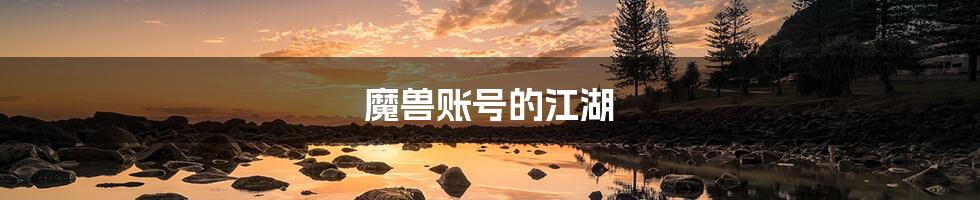魔兽账号的江湖