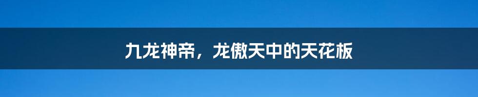 九龙神帝,龙傲天中的天花板