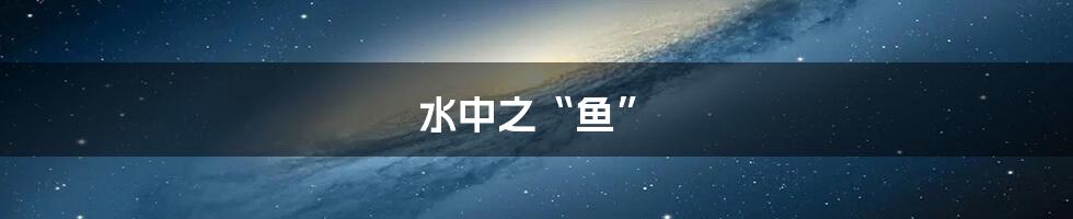 水中之“鱼”