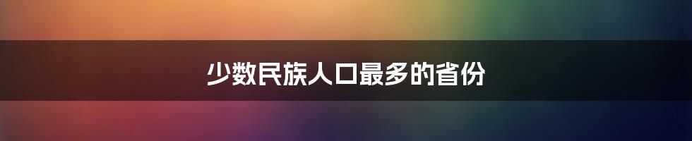 少数民族人口最多的省份