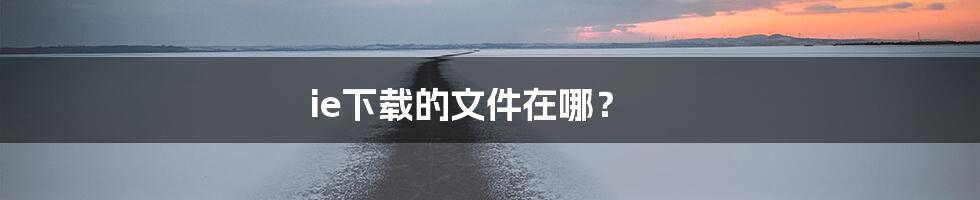 ie下载的文件在哪?