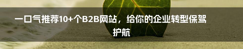 一口气推荐10+个B2B网站,给你的企业转型保驾护航