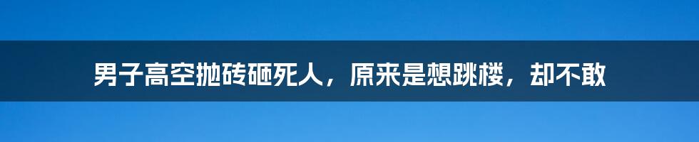 男子高空抛砖砸死人,原来是想跳楼,却不敢