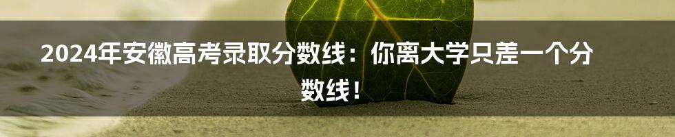 2024年安徽高考录取分数线:你离大学只差一个分数线!