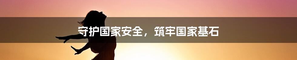 守护国家安全,筑牢国家基石